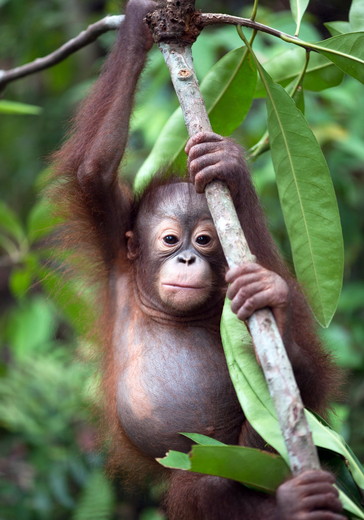 Celebrating Earth Day with Purpose, Our Commitment to Conservation - al.ive body