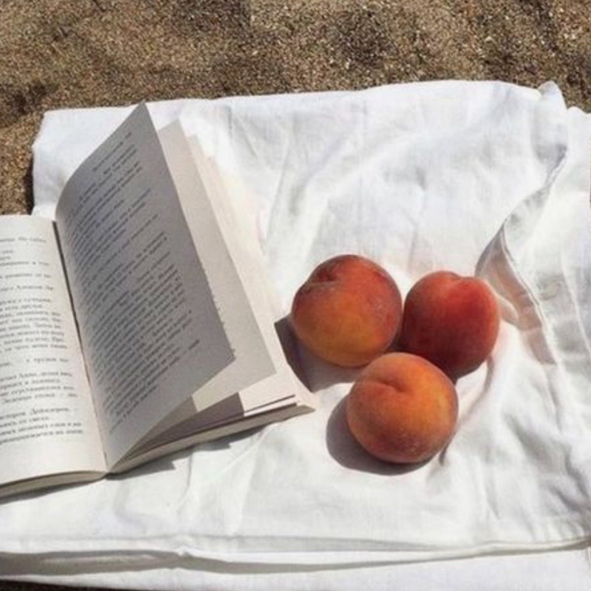 Summer Lovin’: How our team is spending their holidays - al.ive body