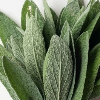 Sage