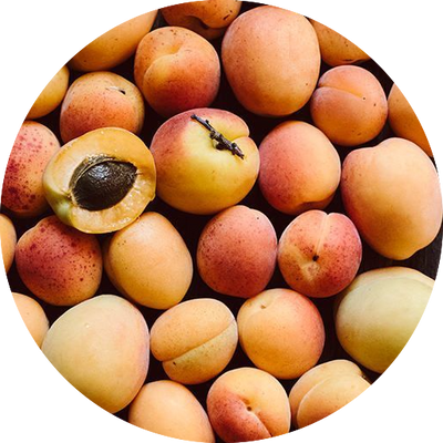 Apricot Jam