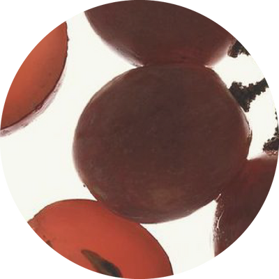 Saccharomyces Extract + Grape Extract