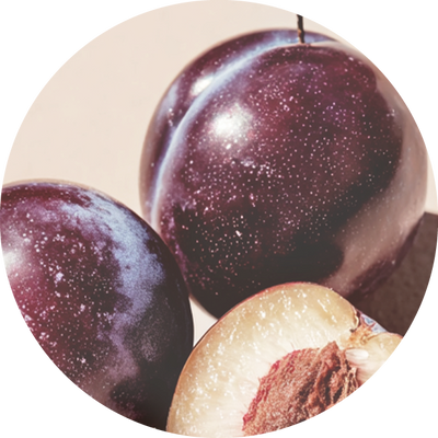Davidson Plum Fruit Extract