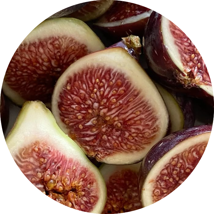 FIG_1.png