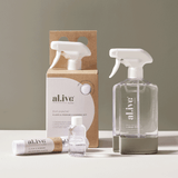 GLASS & MIRROR CLEANING KIT