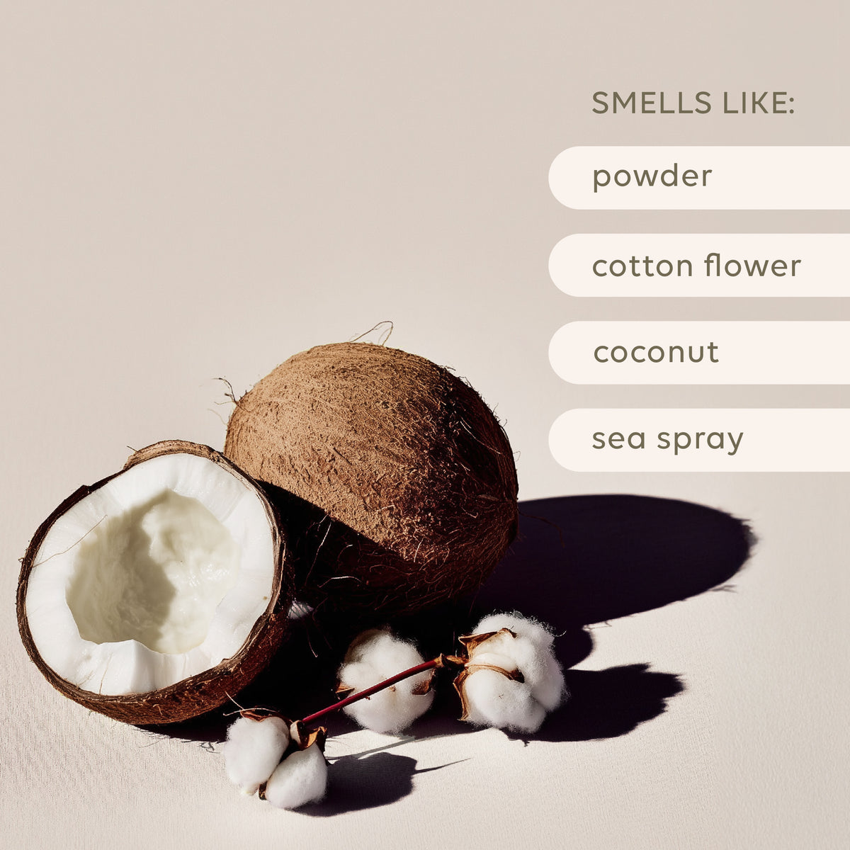 SOY CANDLE - SEA COTTON & COCONUT