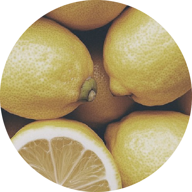 INGREDIENT_IMAGERY-36.png