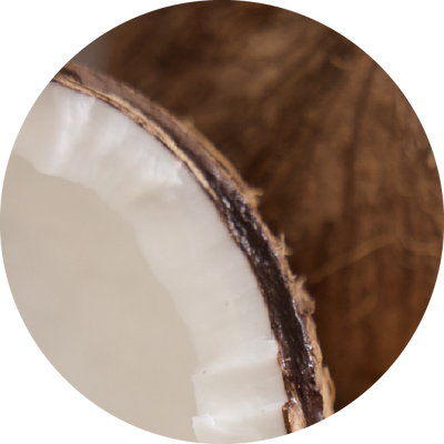 Coconut