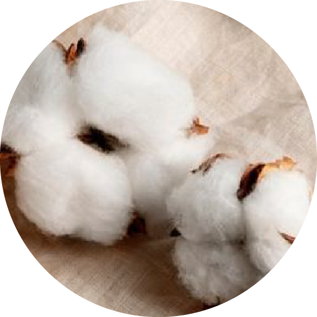 INGREDIENT_IMAGERY-46_1.png