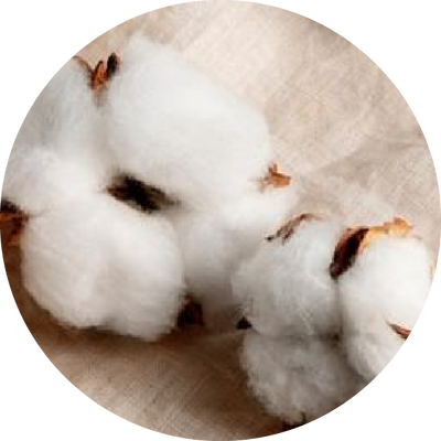 Cotton Flower