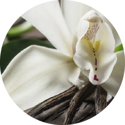 Vanilla
