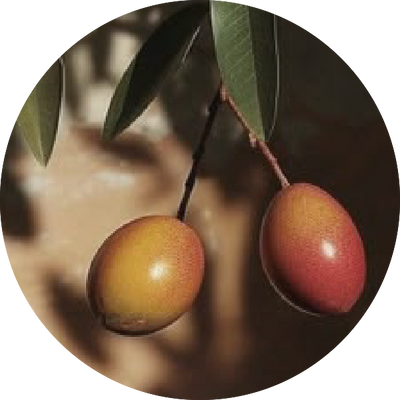 Argan Oil