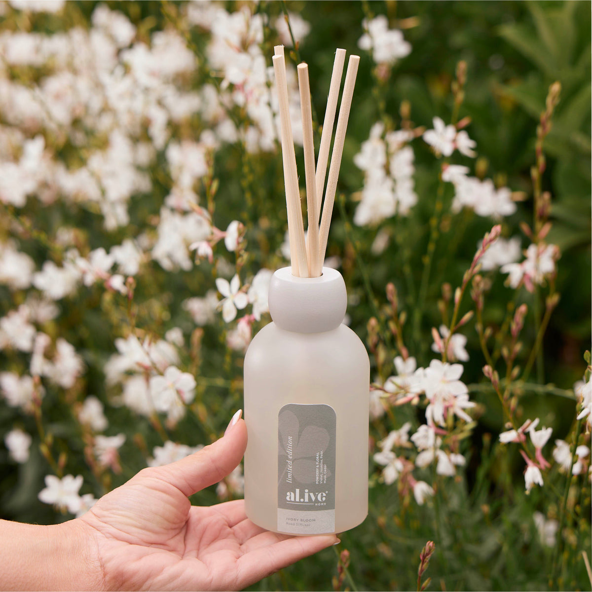 REED DIFFUSER - IVORY BLOOM