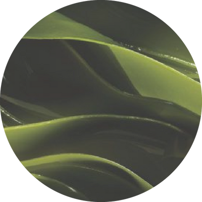 Tasmanian Kelp Extract