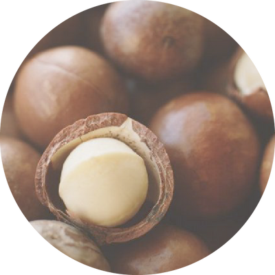 Macadamia Oil