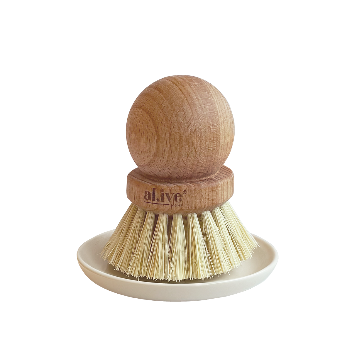 POT BRUSH + CERAMIC TRAY