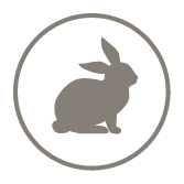 Website_Icons-20.png