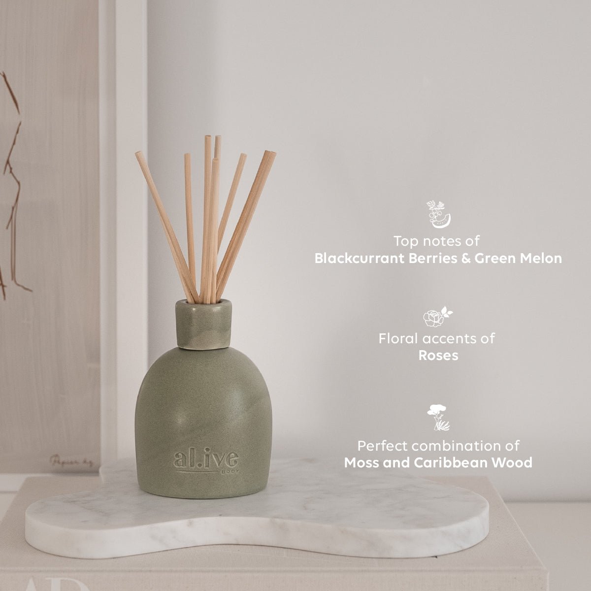 Alive Reed Diffuser Diffusers – al.ive body
