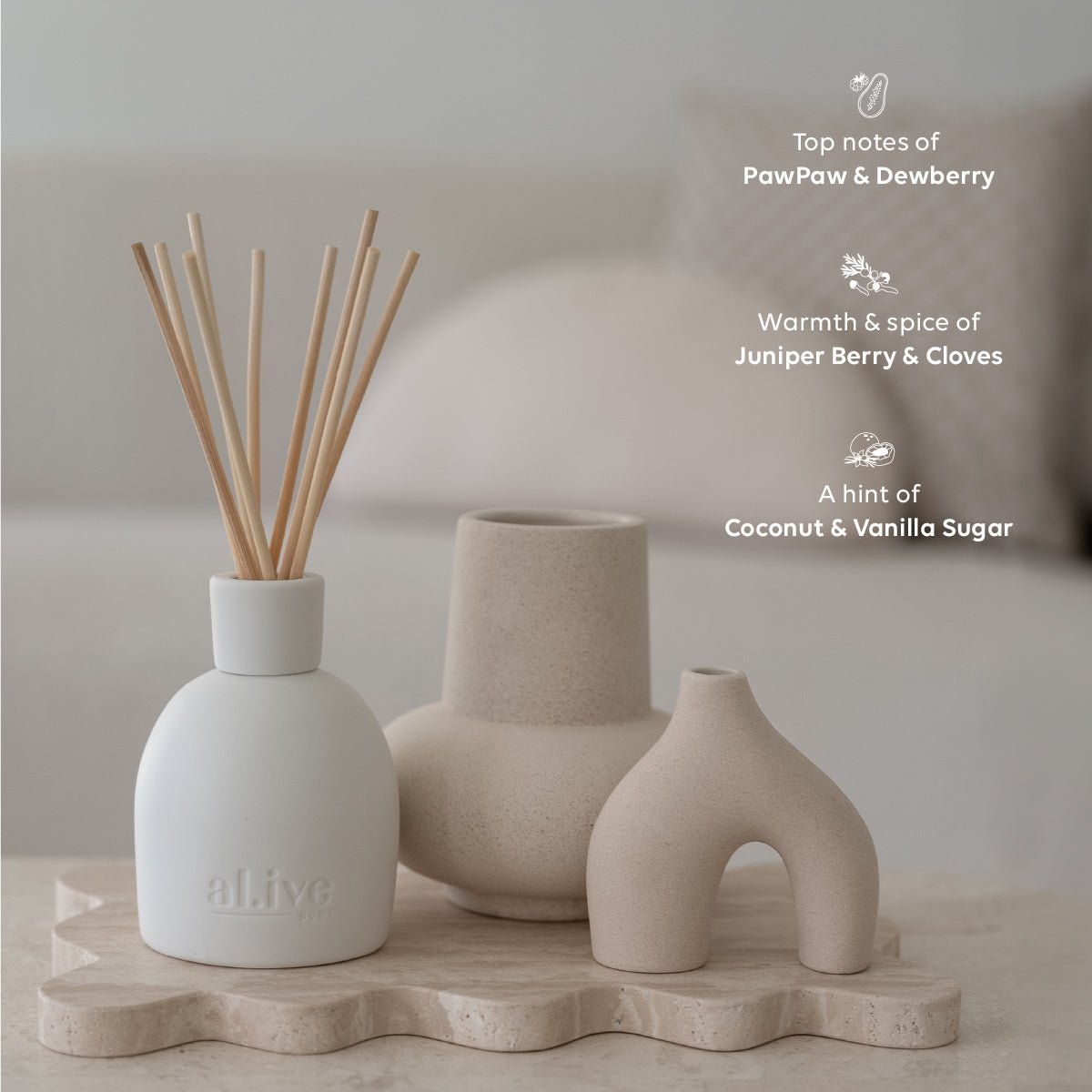 Alive Reed Diffuser Diffusers – al.ive body